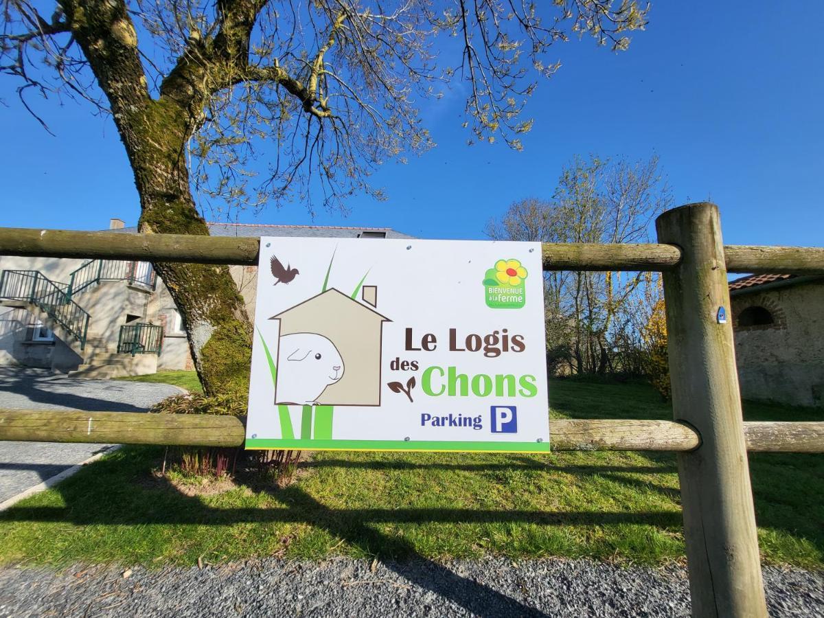 Le Logis Des Chons A La Campagne A Saint Hilaire Du Bois - Lys Haut Layon Le Plessis  Dış mekan fotoğraf